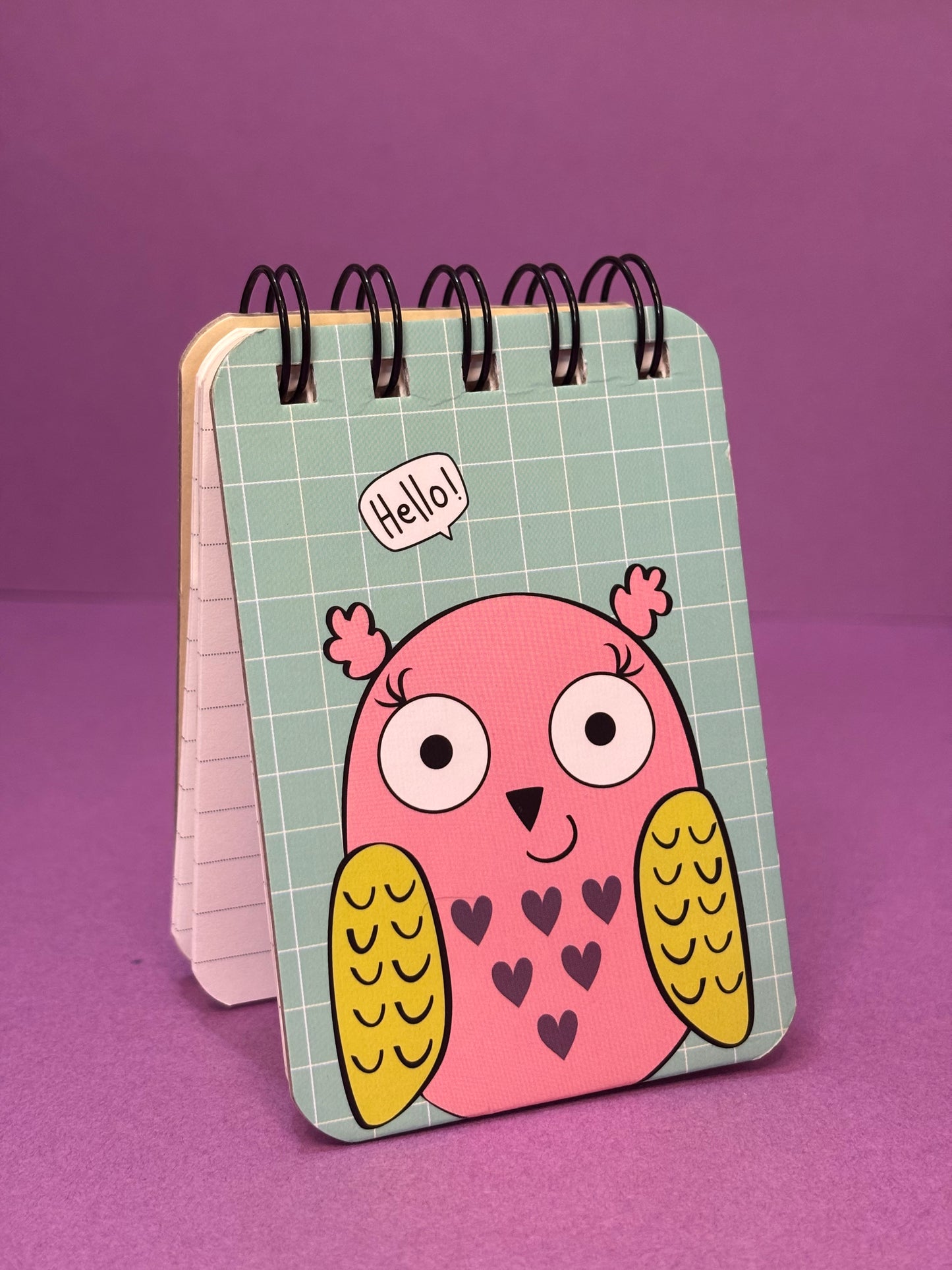 Little Owl Pocket Diary